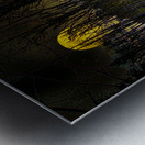 JBS 9682  Impression metal