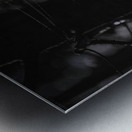 DSC 4847 Metal print