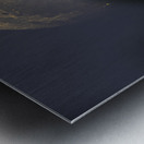 JBS 4981  Metal print