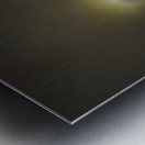 JBS 4756  Impression metal