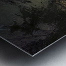 JBS 8747  Metal print