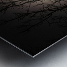 JBS 59702 Metal print