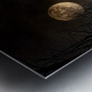 DSC 4177  Metal print