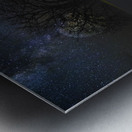 JBS 6098  Metal print