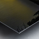 JBS 2558  Metal print