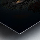 JBS 8045 Impression metal