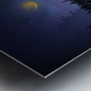 JBS 4529 2  Metal print