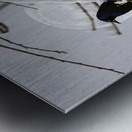 JBS 0164  Impression metal