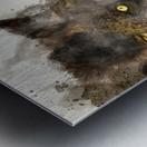 JBS 9070 Impression metal