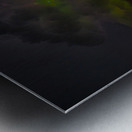 JBS 8015  Metal print