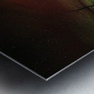 JBS 5620  Impression metal