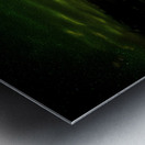 JBS 5561 Metal print