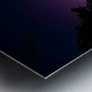 nl12 3858  Metal print