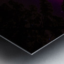 JBS 6258  Metal print