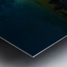 JBS 5800 2 Metal print