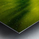 JBS 6014ng  Metal print