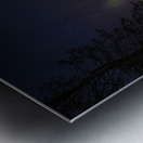 JBS 7786 2  Metal print