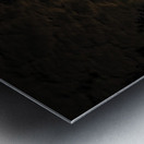 CRC 1831 1 Metal print