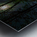 DSC 3665 1 Impression metal