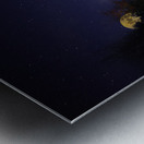 DSC 5763  Impression metal