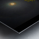 DSC 4341  Metal print