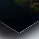 DSC 3542  Impression metal