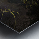 DSC 4039  Metal print