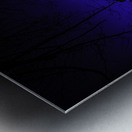 JBS 0689  Metal print