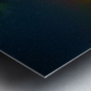 DSC 1825  Impression metal