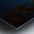 DSC 5764  Impression metal