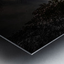 JBS 0868  Metal print