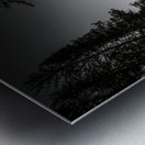 JBS 2030 Metal print