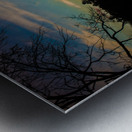 JBS 3690 Metal print