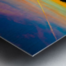 JBS 3684 Metal print