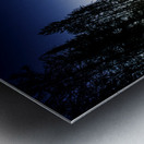 JBS 2040 Impression metal