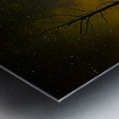 JBS 3723 Metal print