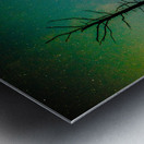 JBS 3718 Metal print