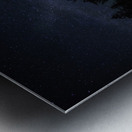 JBS 1292  Metal print