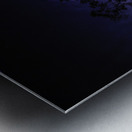 JBS 3459  Metal print