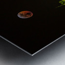 JBS 8023  Impression metal