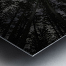 JBS 5553  Impression metal