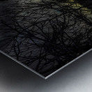 JBS 4554  Impression metal