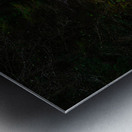 JBS 4248 Metal print