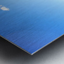 JBS 6991 Metal print