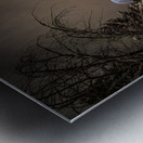 Z62 0235 Metal print