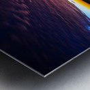 JBS 3798 Metal print