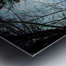 JBS 5227 Metal print