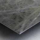 JBS 0660 Metal print