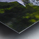  1seagull Metal print