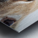 JBS 0540 Impression metal